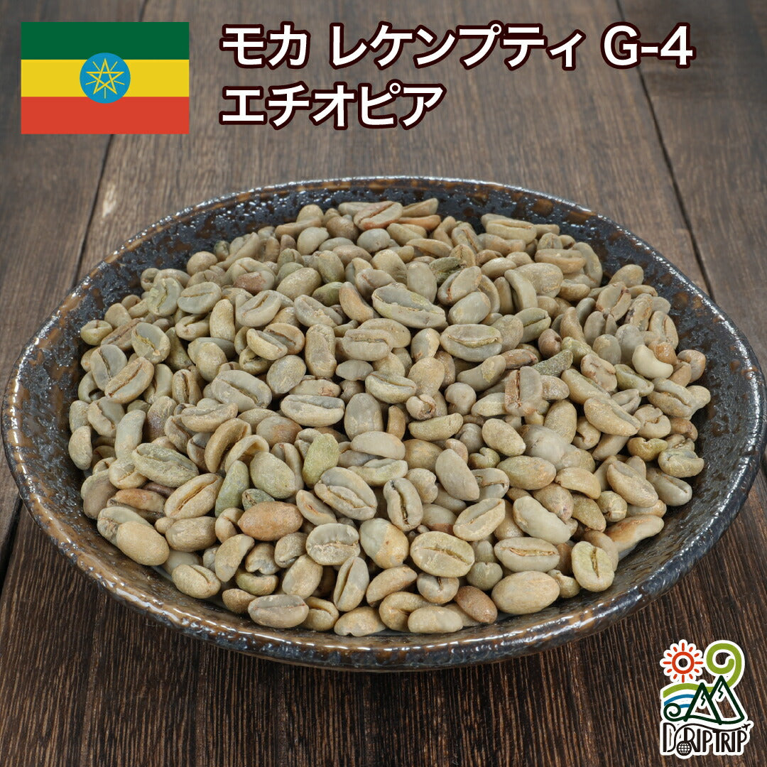 モカ レケンプティ G-4 エチオピア