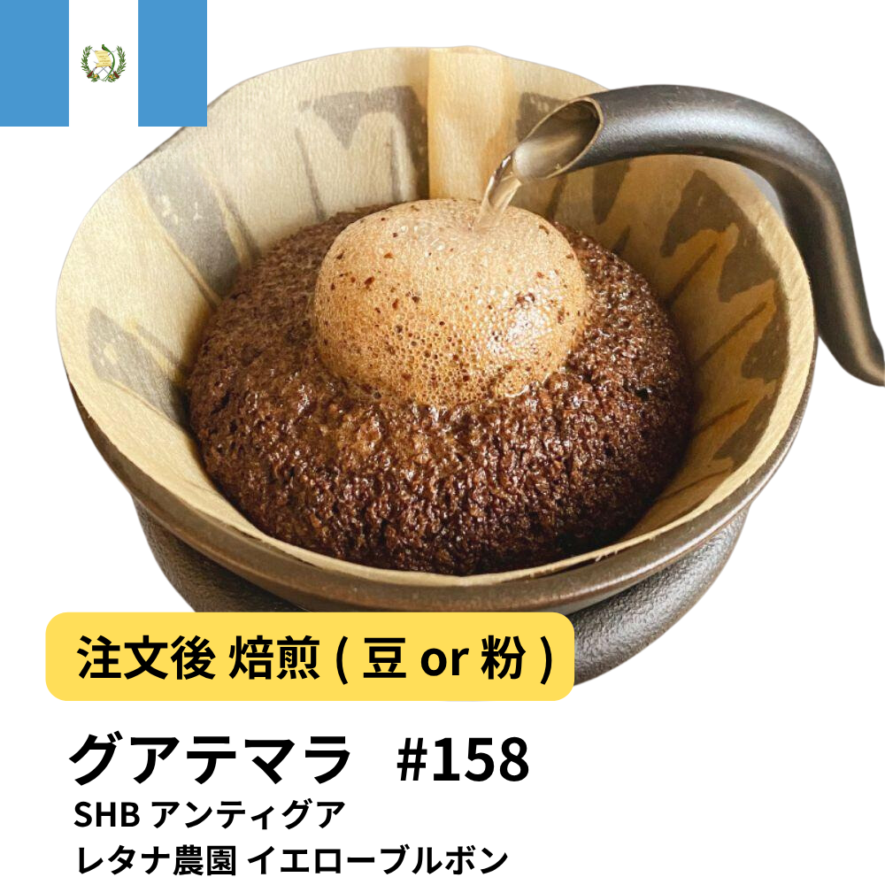 コーヒー豆 グアテマラ SHB アンティグア レタナ農園 イエローブルボン #158|DripTrip