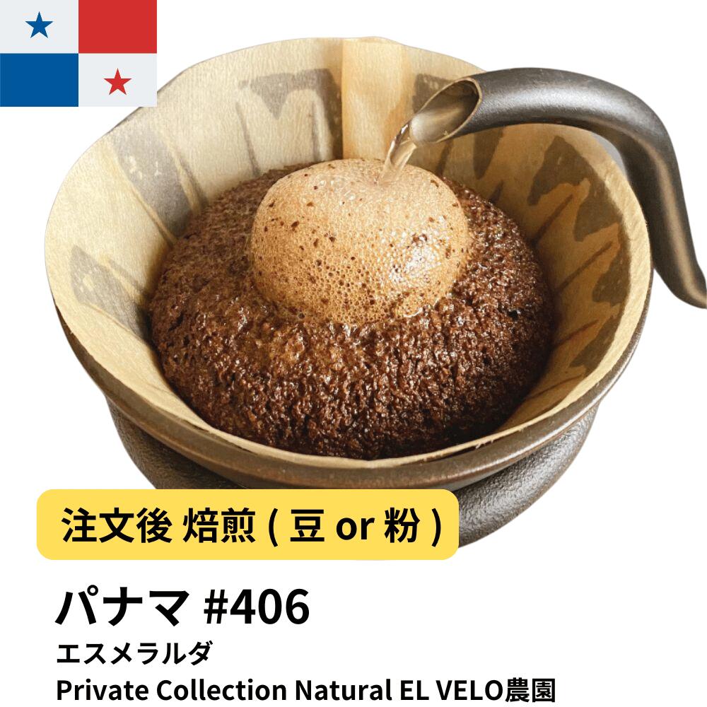 パナマエスメラルダ 2025クロップPrivate Collection Natural EL VELO農園