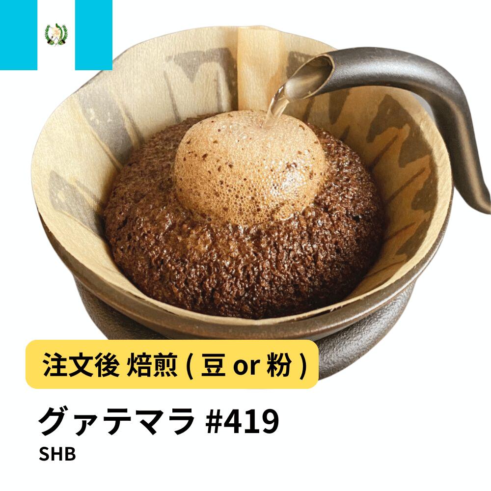 グアテマラ SHB