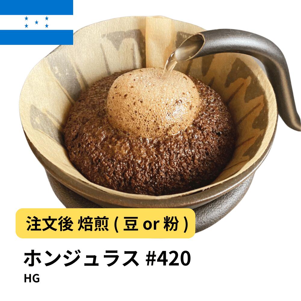 ホンジュラス HG