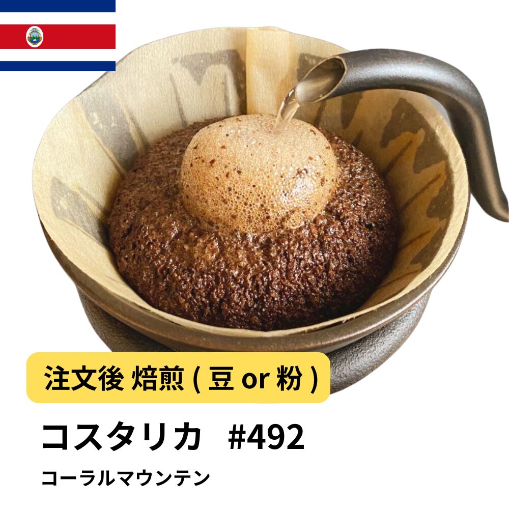 コスタリカ コーラルマウンテン