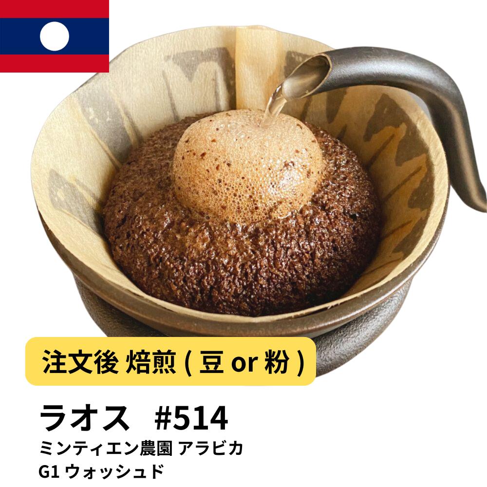 ラオス Washed Arabica G1 Min Tien Estate