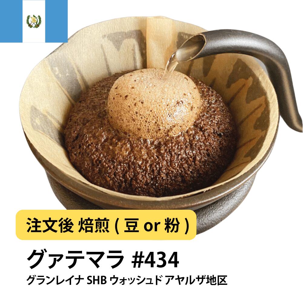 グアテマラ グランレイナ SHB ウォッシュド アヤルザ地区