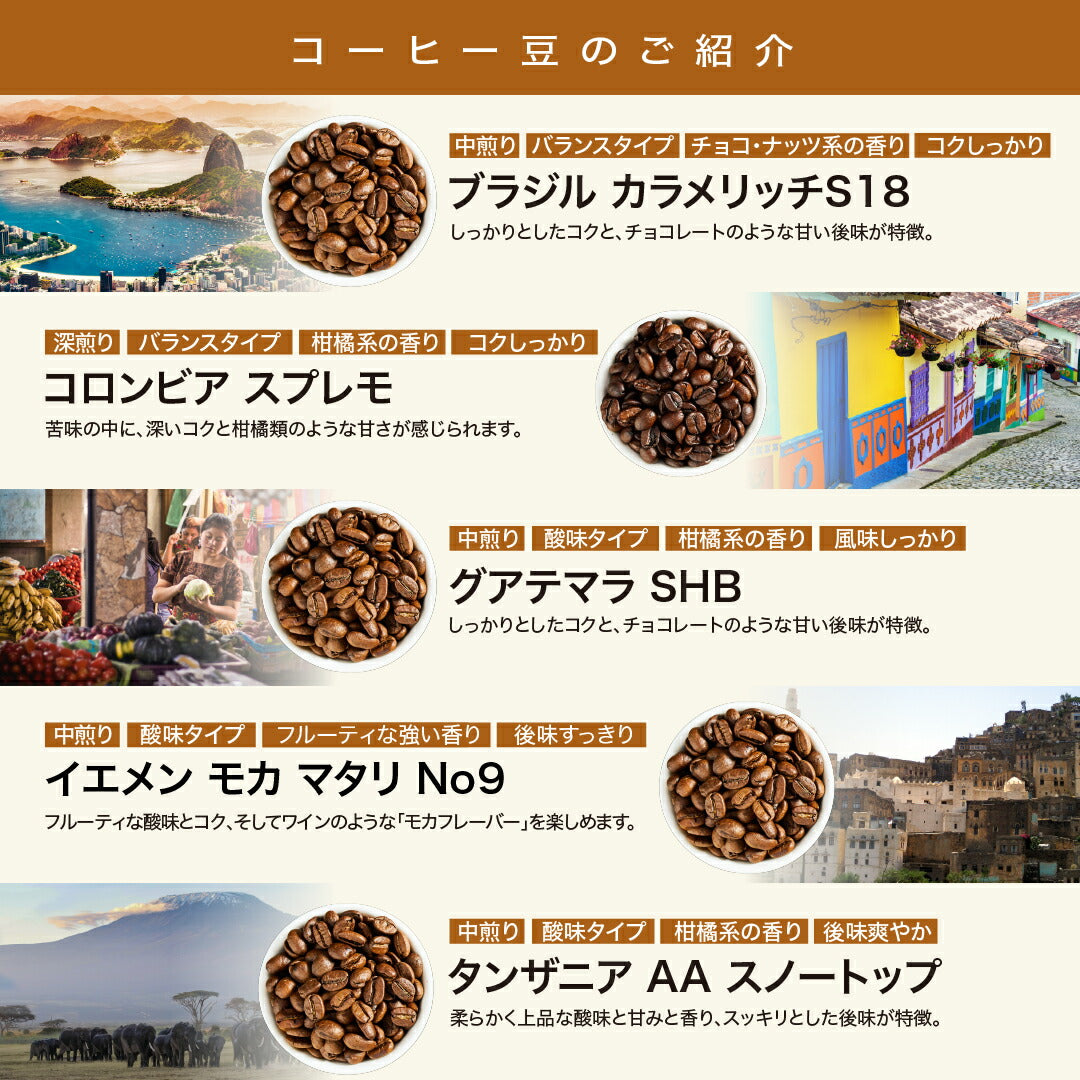 コーヒー豆 お試しセット 15種類から選べる3種 飲み比べ 100g×3袋 送料無料 浅煎り 中煎り 深煎り 焙煎したて スペシャルティコーヒー 自家焙煎 珈琲豆 DRIP TRIP ドリップトリップ 送料無料