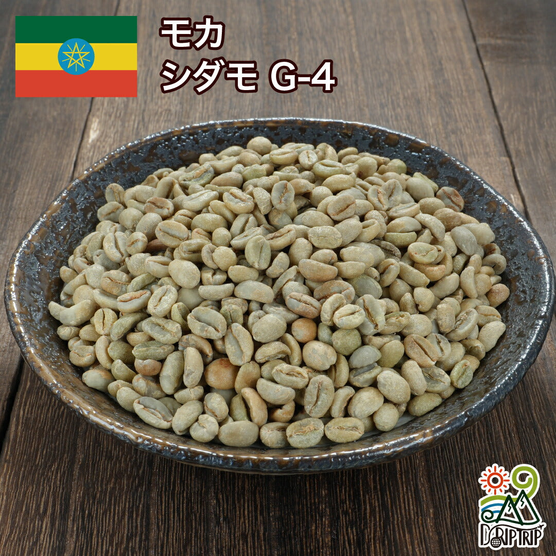 モカ シダモG-4