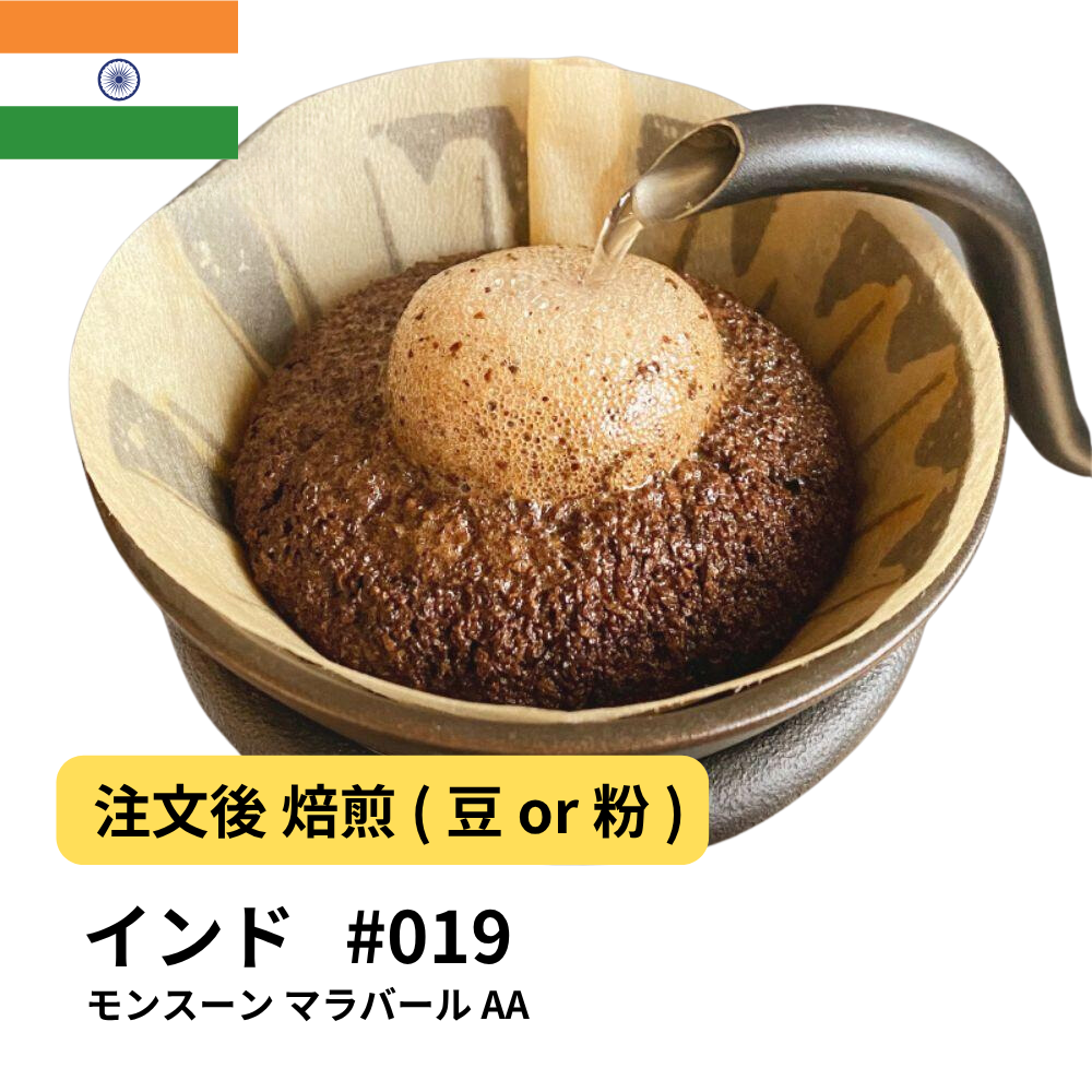 コーヒー豆 インド モンスーン マラバール AA #19｜DripTrip