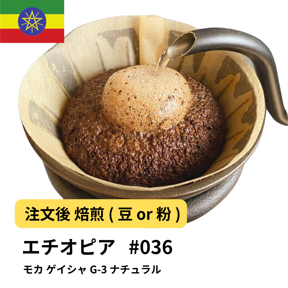 コーヒー豆 モカ ゲイシャ G-3 ナチュラル エチオピア #36｜DripTrip