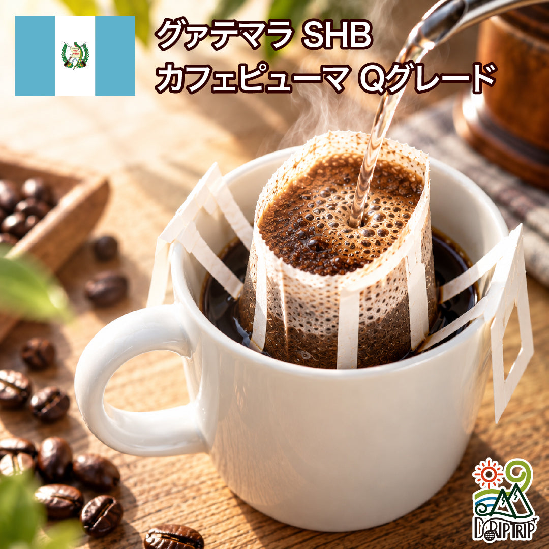 ドリップバッグ グアテマラ SHB カフェピューマ Qグレード #49｜DripTrip