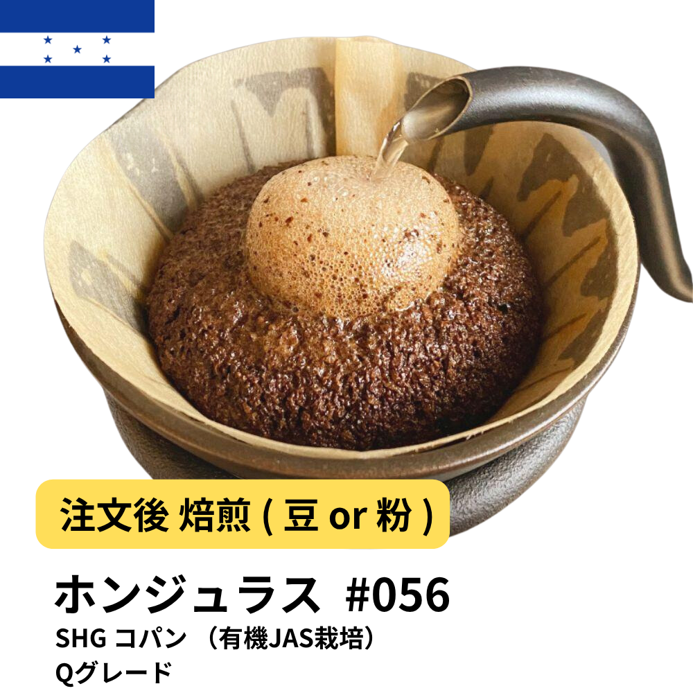 コーヒー豆 ホンジュラス SHG コパン （有機JAS栽培） Qグレード #56｜DripTrip