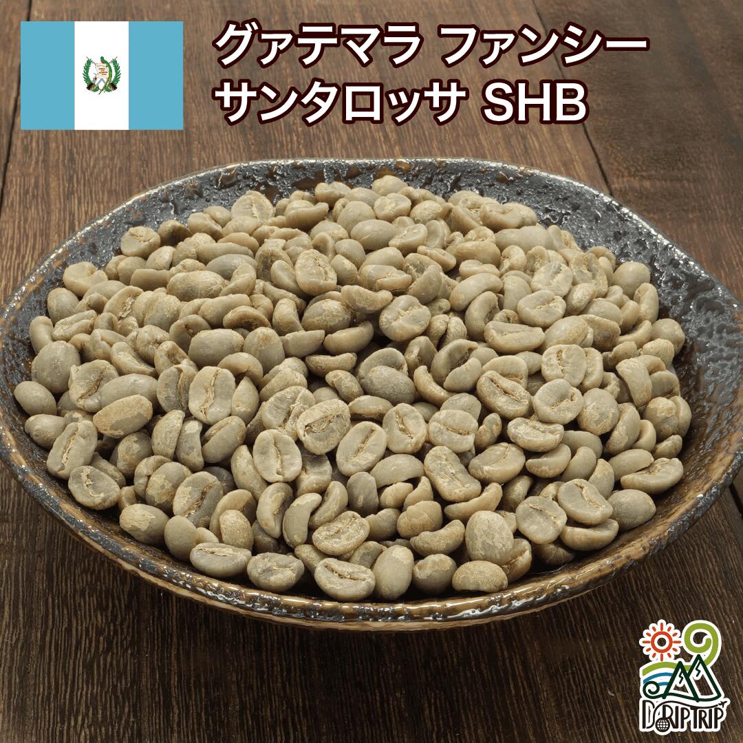 グアテマラ ファンシーサンタロッサ SHB