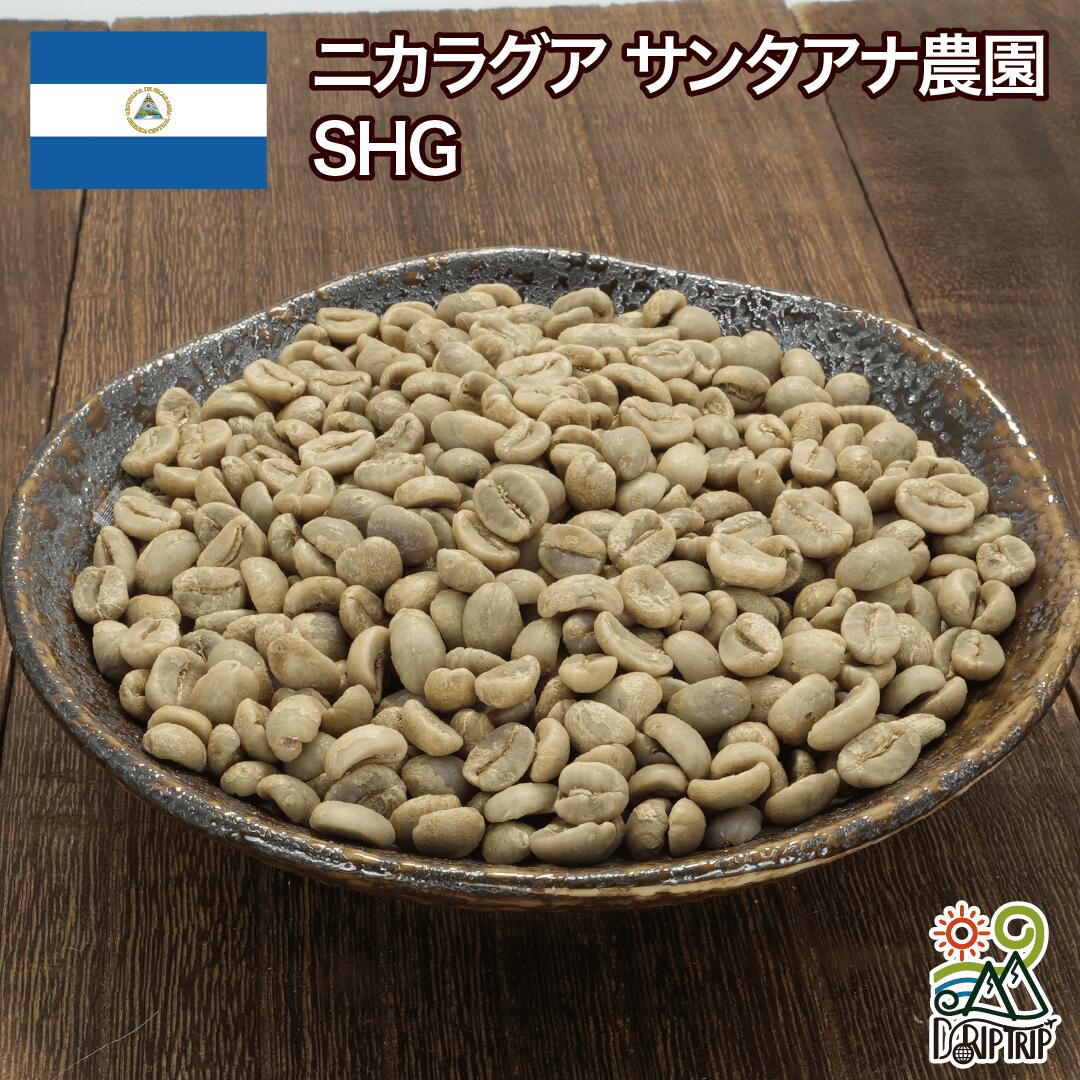 ニカラグア サンタアナ農園 SHG