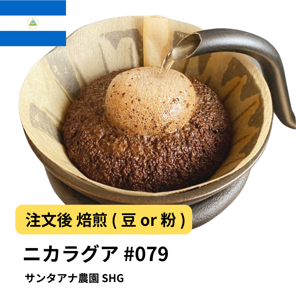 コーヒー豆 ニカラグア サンタアナ農園 SHG #79｜DripTrip
