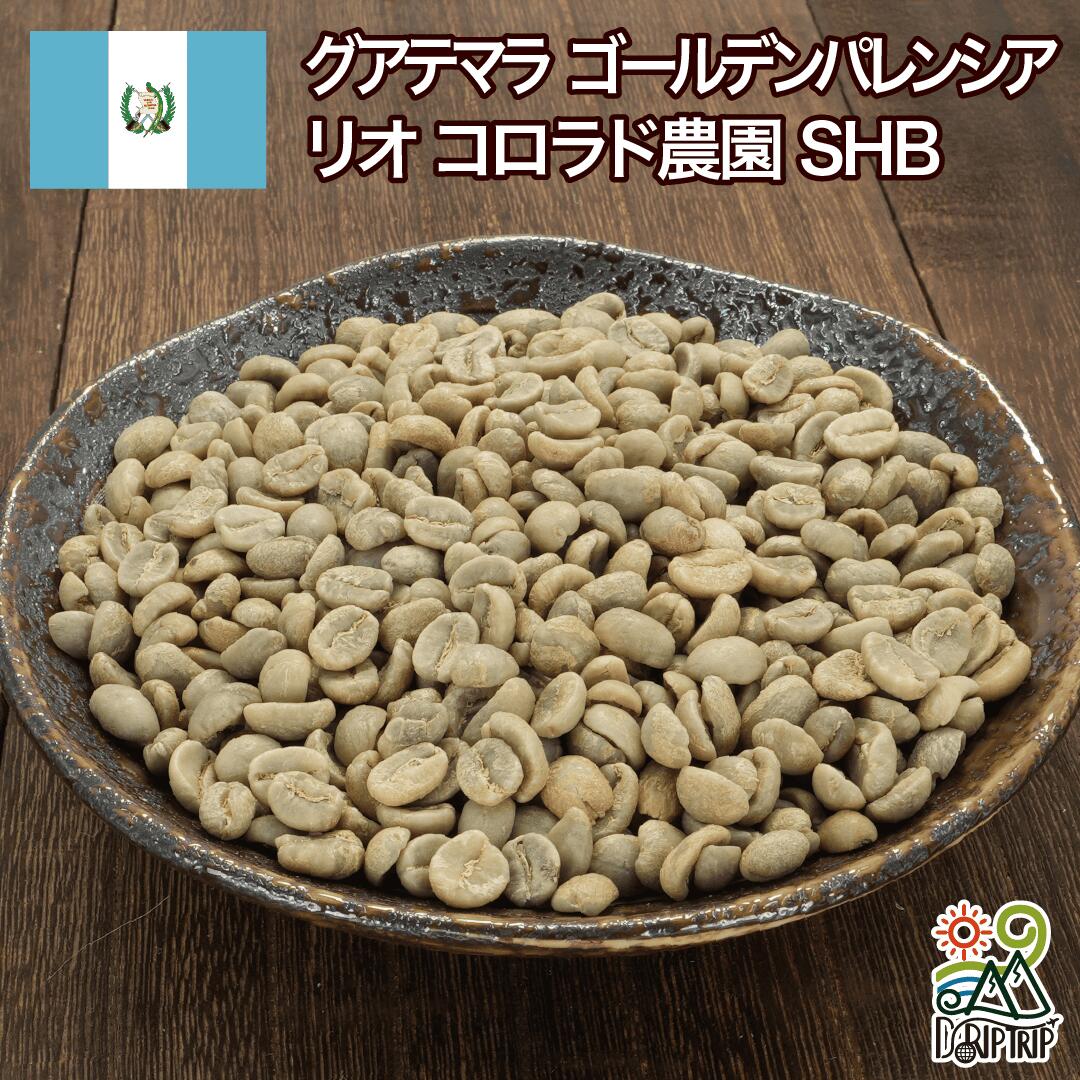 グアテマラ ゴールデンパレンシア リオ コロラド農園SHB