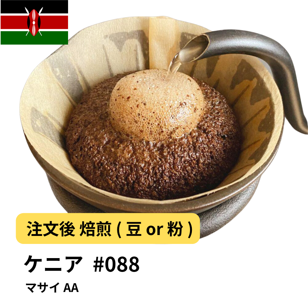 コーヒー豆 ケニア マサイ AA #88｜DripTrip