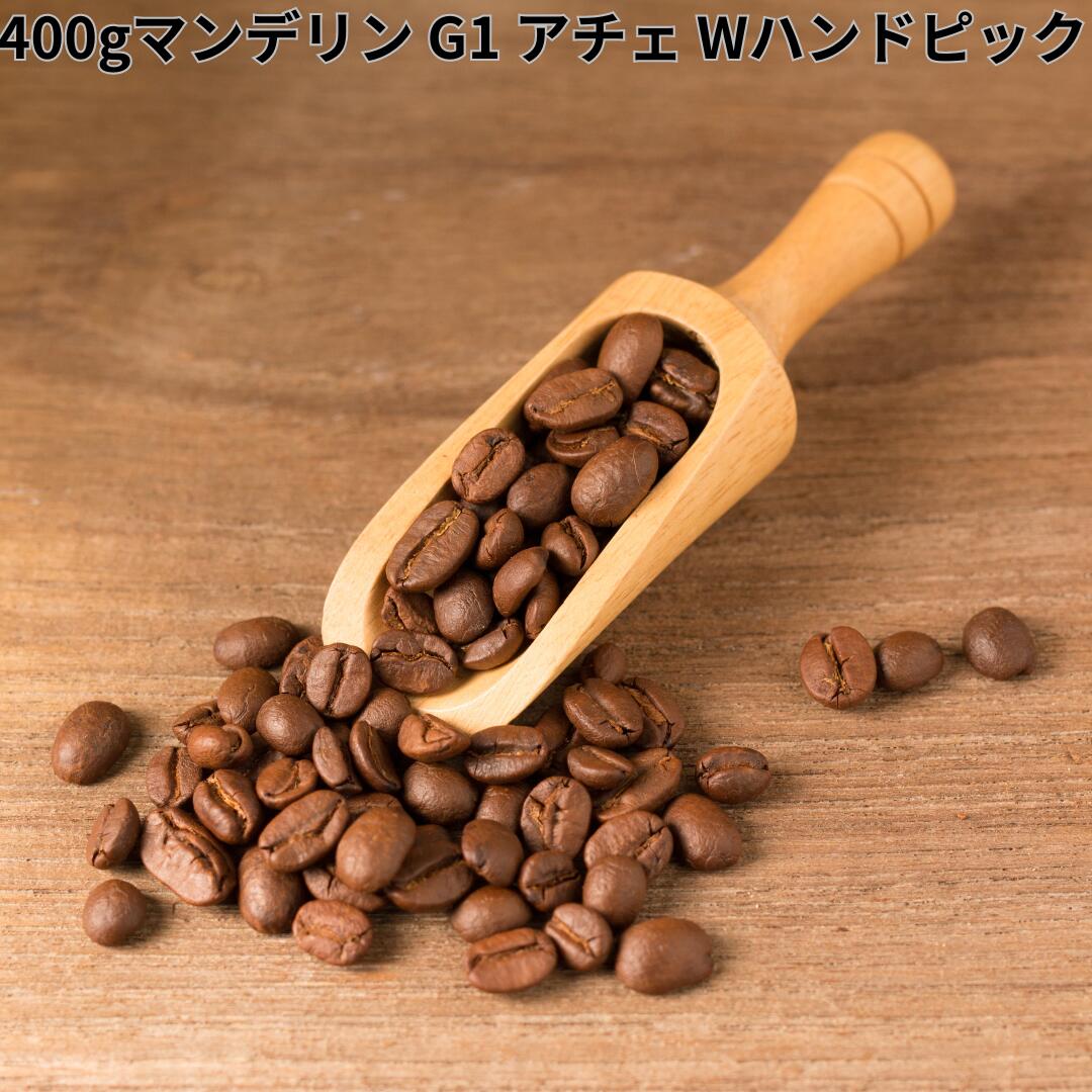 マンデリン G-1 アチェ Wハンドピック アットソース インドネシア