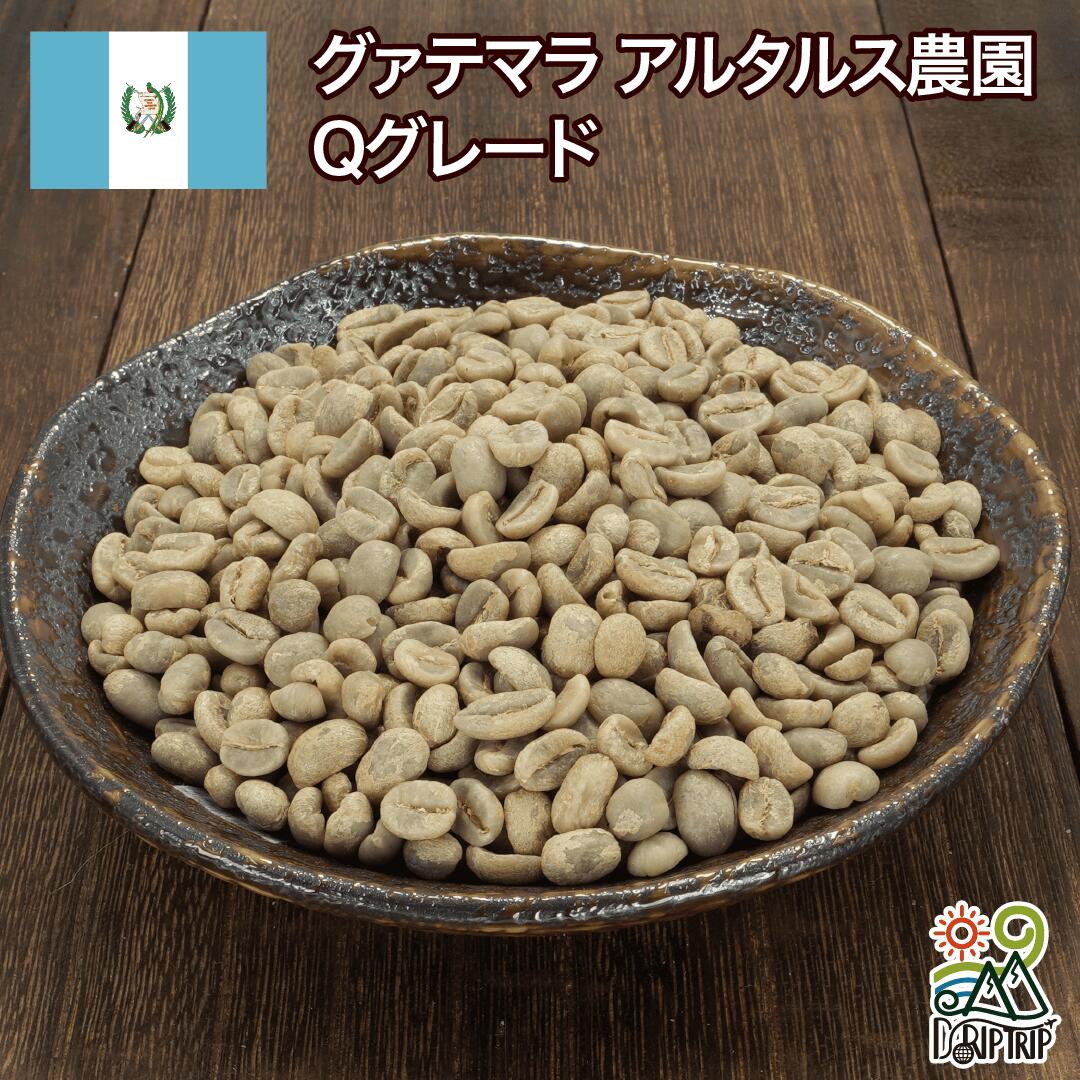 グアテマラ アルタルス農園 Qグレード
