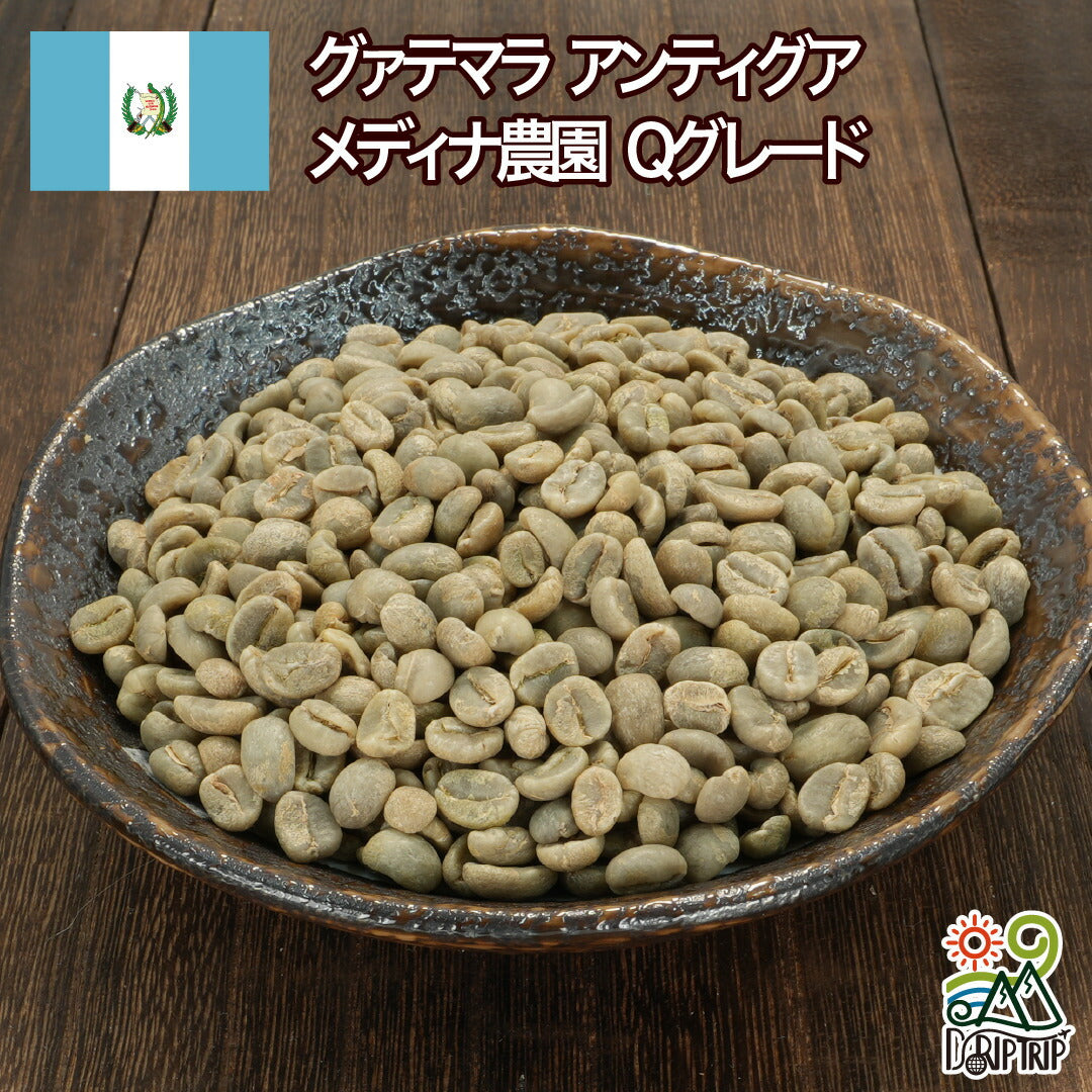グアテマラ アンティグア メディナ農園
