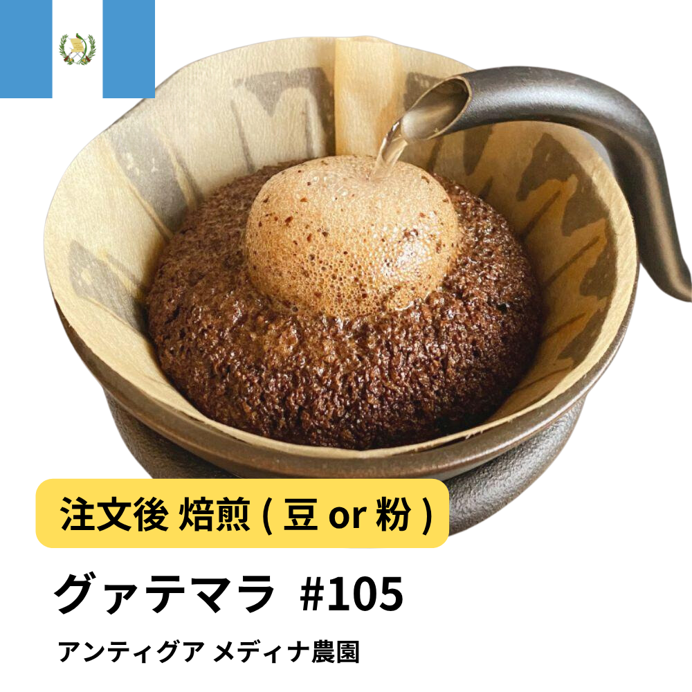 コーヒー豆 グアテマラ アンティグア メディナ農園 #105｜DripTrip