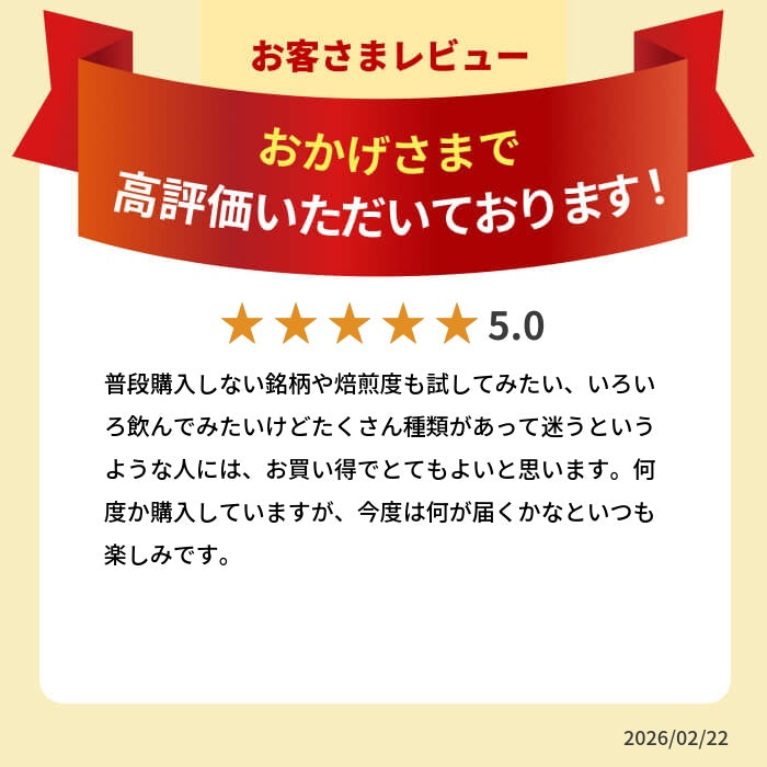 DRIP TRIP お任せ300g×3種類 コーヒー豆 送料無料開店セール