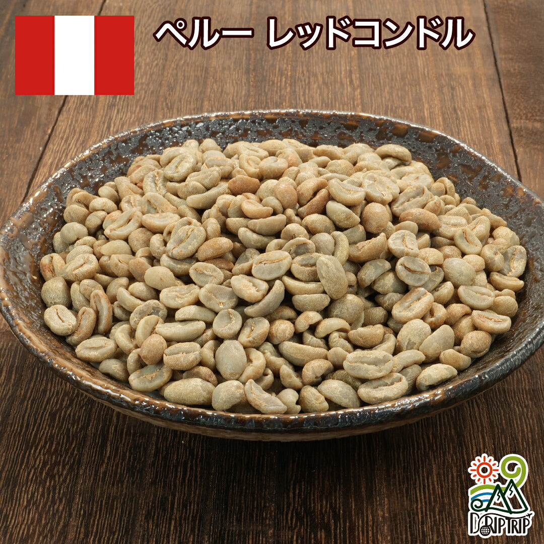 ペルー レッドコンドル