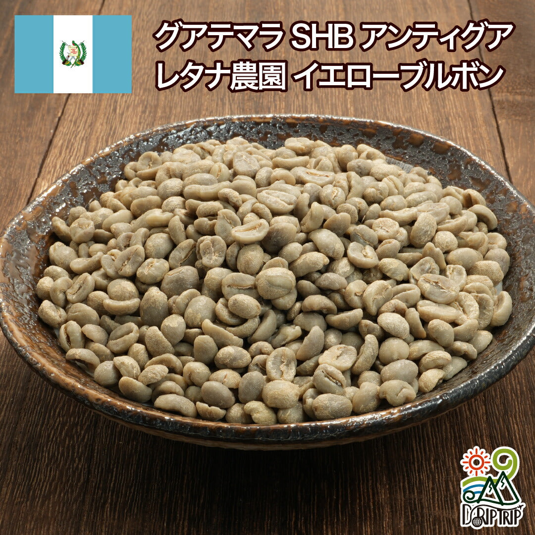 グアテマラ SHB アンティグア レタナ農園 イエローブルボン