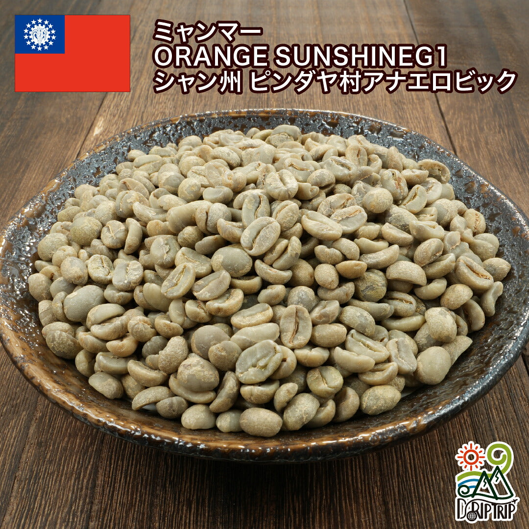 ミャンマー ORANGE SUNSHINEG1 シャン州 ピンダヤ村アナエロビック