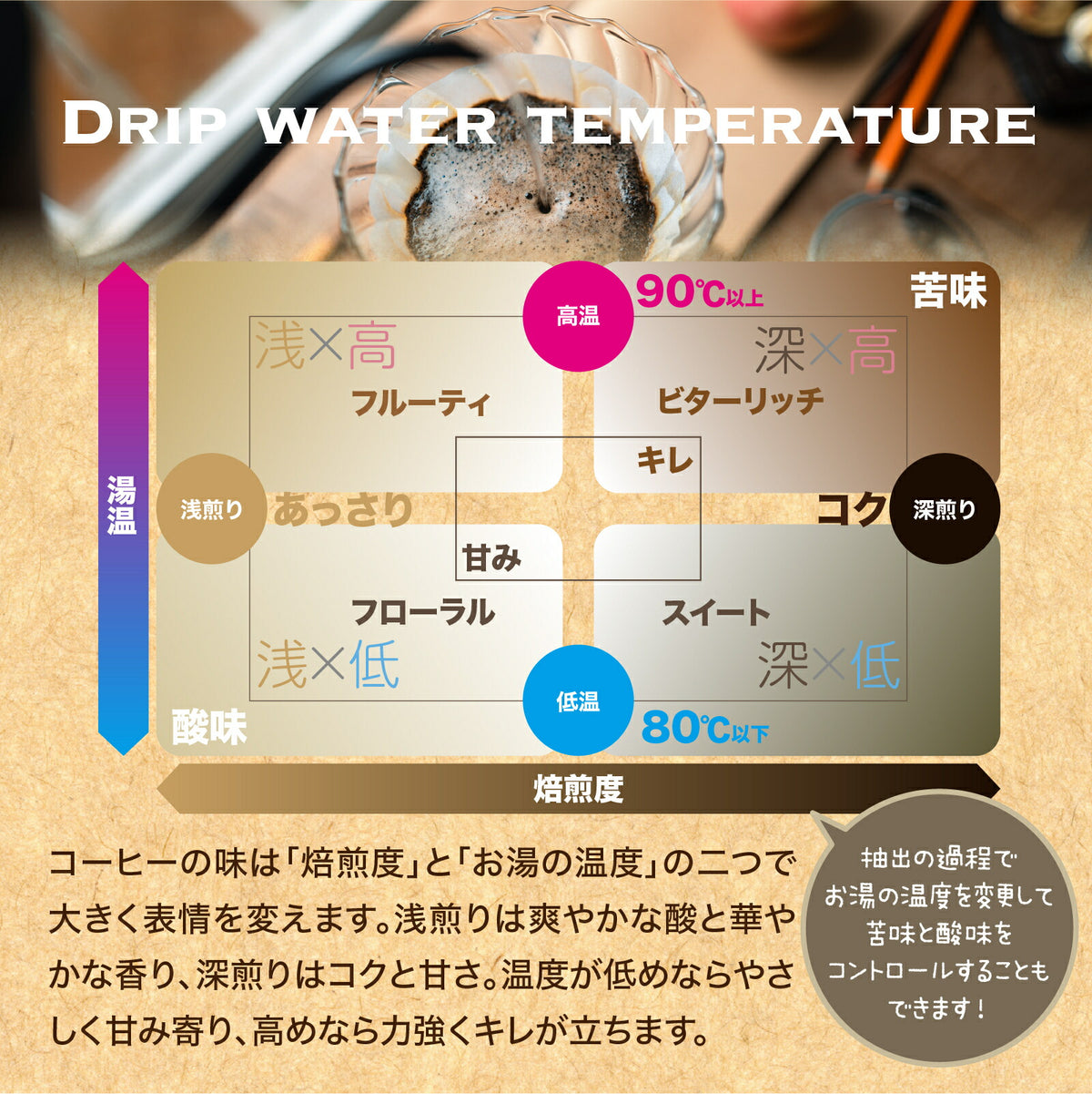 コーヒー豆 お試しセット 15種類から選べる3種 飲み比べ 100g×3袋 送料無料 浅煎り 中煎り 深煎り 焙煎したて スペシャルティコーヒー 自家焙煎 珈琲豆 DRIP TRIP ドリップトリップ 送料無料