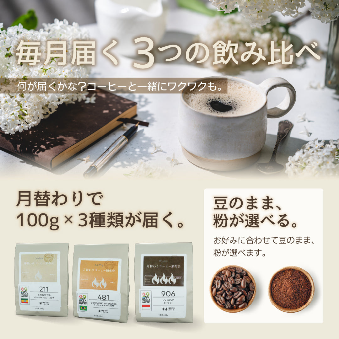 月替わりコーヒー頒布会｜DripTrip