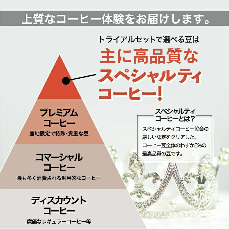 コーヒー豆 お試しセット 15種類から選べる3種 飲み比べ 100g×3袋 送料無料 浅煎り 中煎り 深煎り 焙煎したて スペシャルティコーヒー 自家焙煎 珈琲豆 DRIP TRIP ドリップトリップ 送料無料