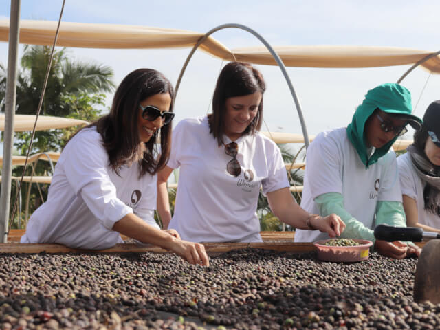 ブラジル ドーナス・ド・カフェ パルプドナチュラル