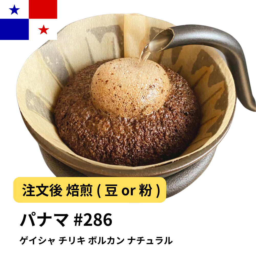 コーヒー豆 パナマ ゲイシャ チリキ ボルカン ナチュラル #286｜DripTrip