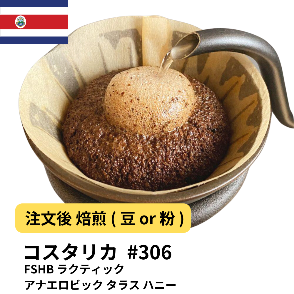 コーヒー豆 コスタリカ FSHB ラクティック アナエロビック タラス ハニー #306｜DripTrip