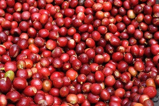 インドネシア ベイビービンタン