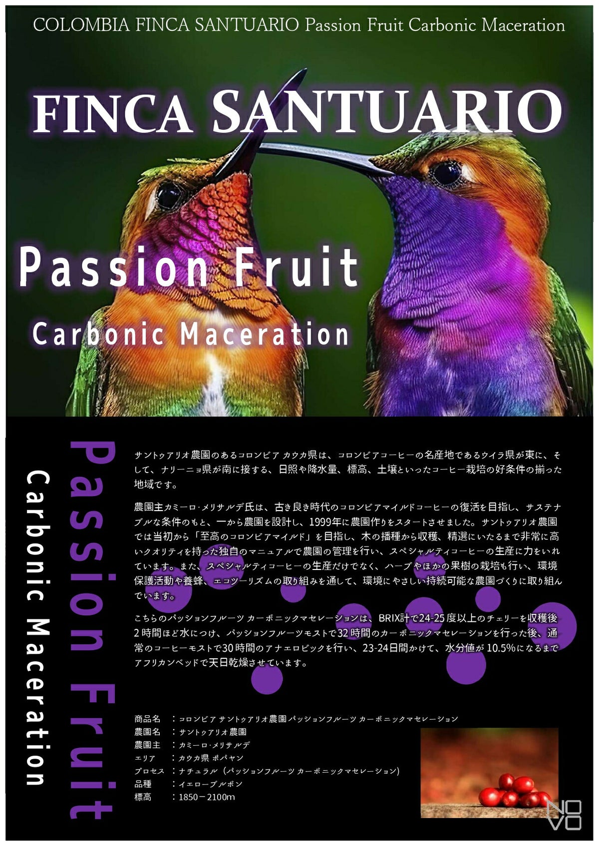 コロンビア サントゥアリオ農園パッションフルーツ カーボニックマセレーション