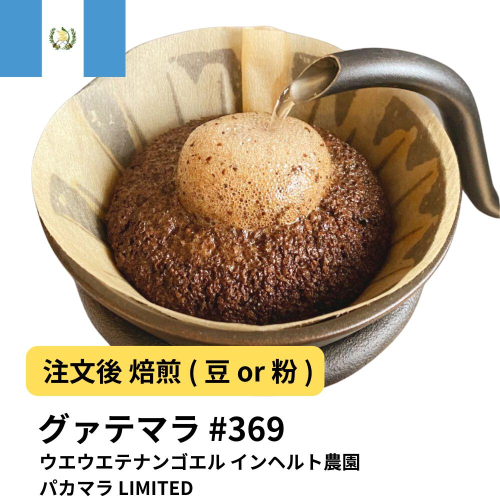 グアテマラ ウエウエテナンゴエル インヘルト農園パカマラ LIMITED
