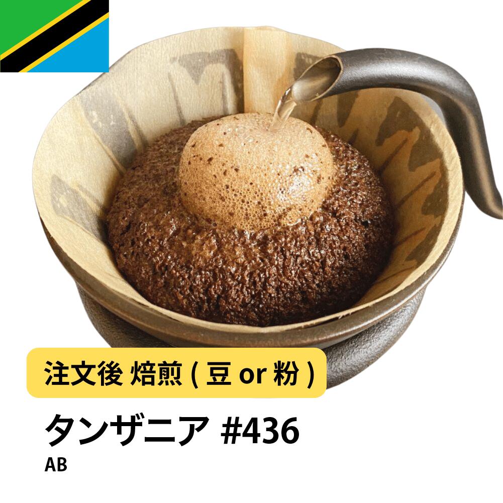 タンザニア AB