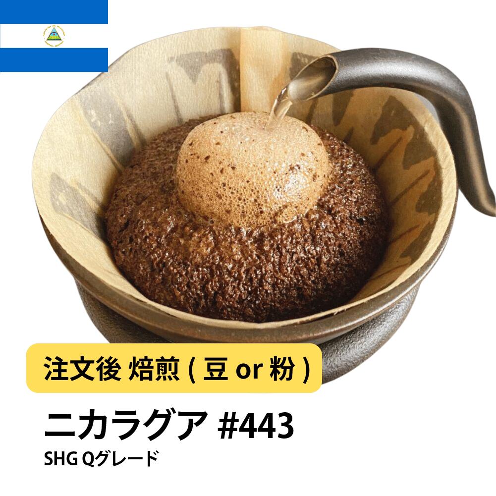 ニカラグア ラ・エストレージャ農園 SHG Qグレード