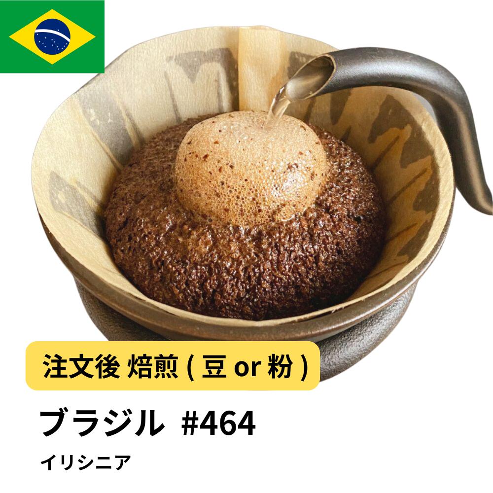 ブラジル イリシニア