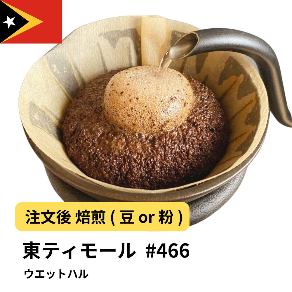 東ティモール ウエットハル