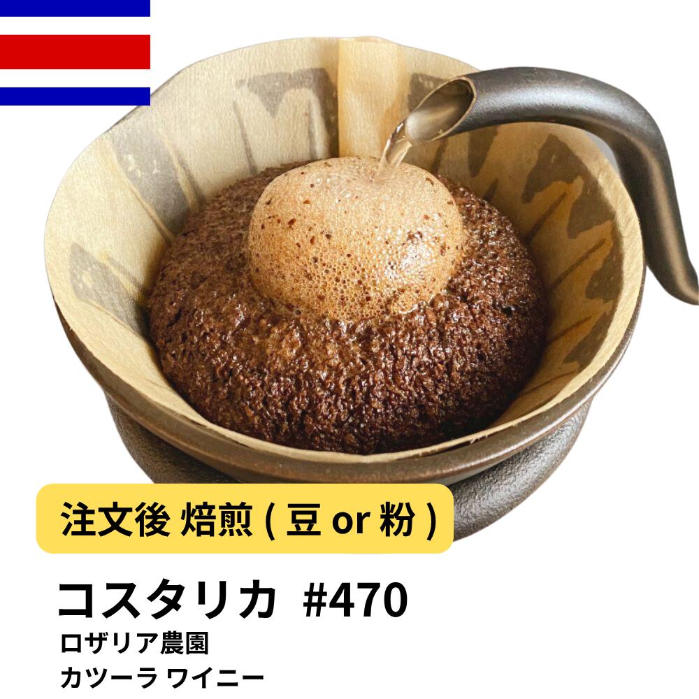 コスタリカ ロザリア農園 カツーラ ワイニー