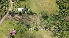 コスタリカ ビスタアルバジェ ロブスタ ハニー