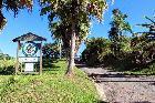 プエルトリコ ポンス農園 AA