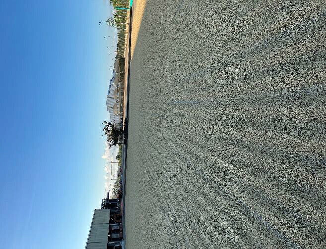 ラオス ミン・ティエン農園 アラビカG1 ウォッシュド