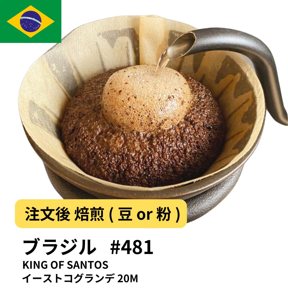 ブラジル KING OF SANTOS イーストコグランデ 20M