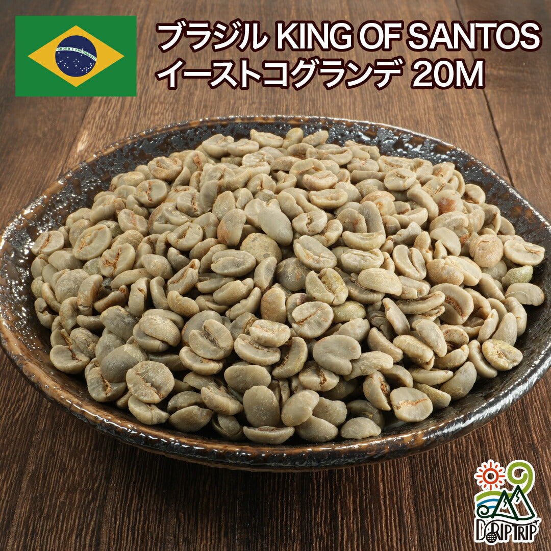 ブラジル KING OF SANTOS イーストコグランデ 20M
