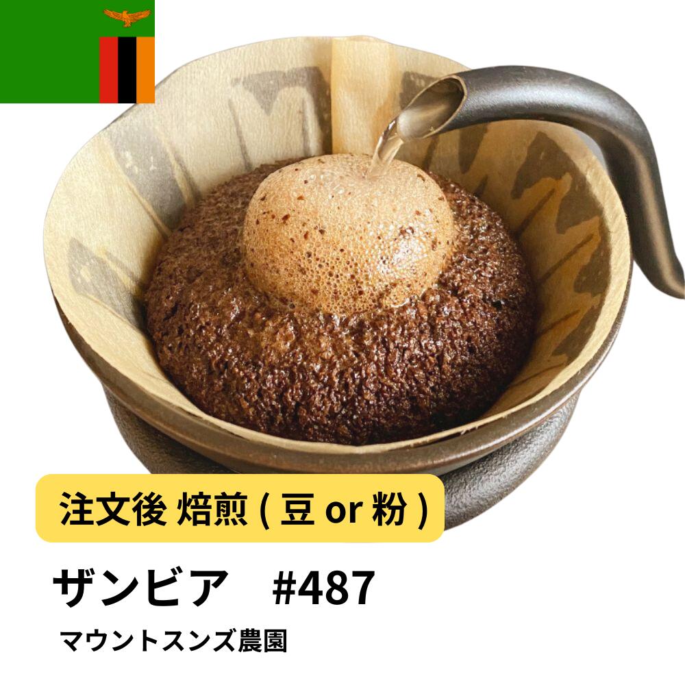 ザンビア マウントスンズ農園