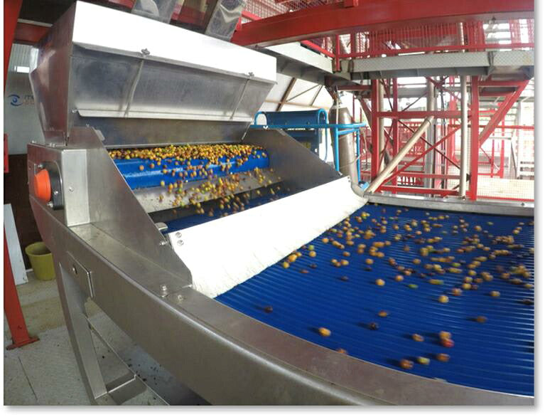 BRAZIL IPANEMA PREMIER CRU BLACK C44 COCOA