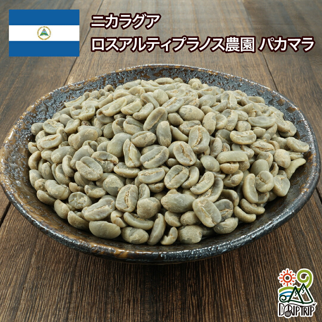 ニカラグア ロスアルティプラノス農園 パカマラ