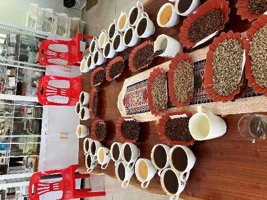 ラオス Washed Arabica G1 Min Tien Estate